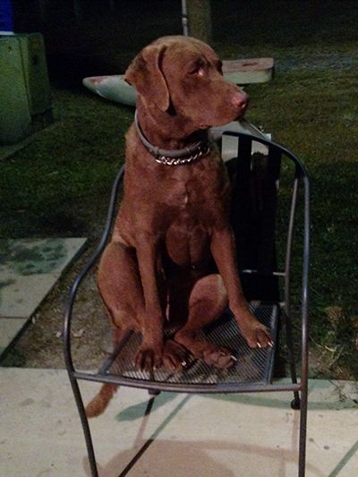 River