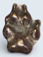 Large Pet-Paw