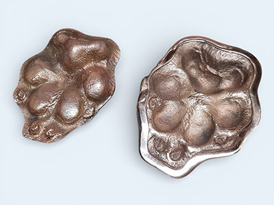 Large Pet-Paw Set