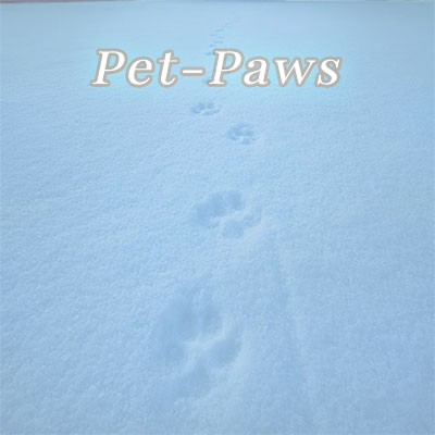 Debbie's Paws