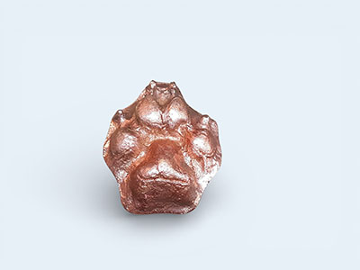 Small bronze dog Pet-Paw
